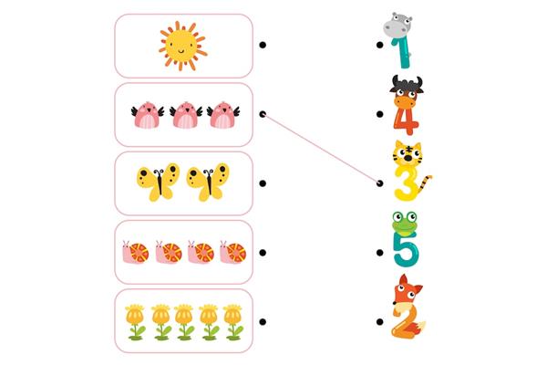 小学数量关系式大全