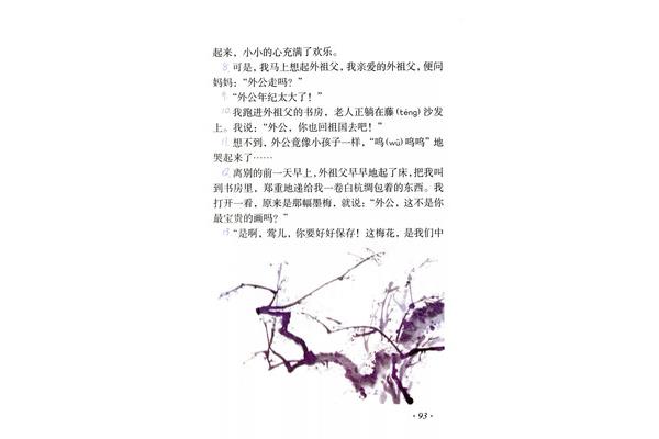 梅花魂的作者