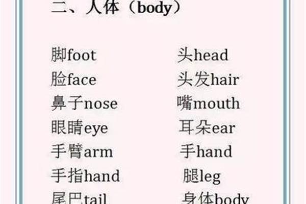 脸的英文单词