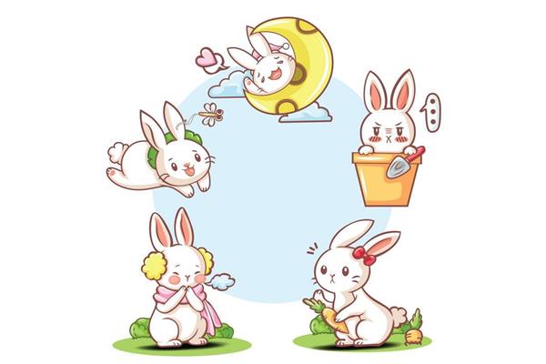 小白兔进化论