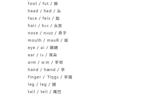 脸的英文单词