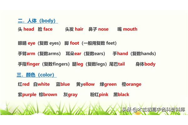 脸的英文单词