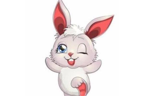 小白兔进化论
