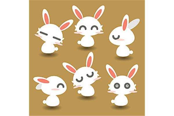 小白兔进化论