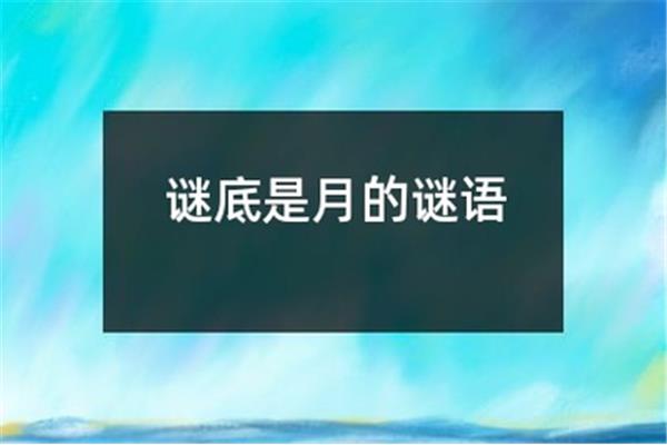 谜面和谜底