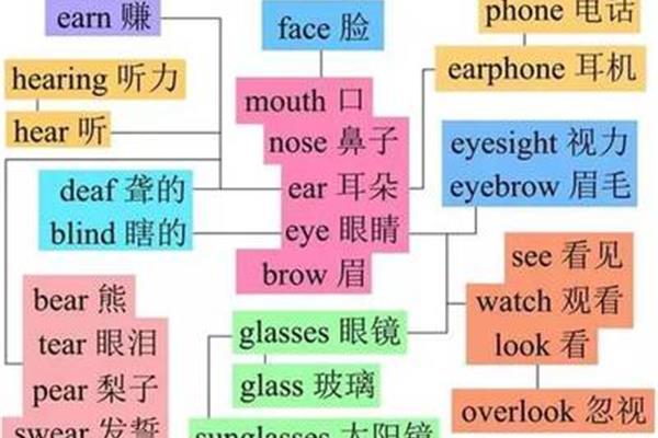 脸的英文单词