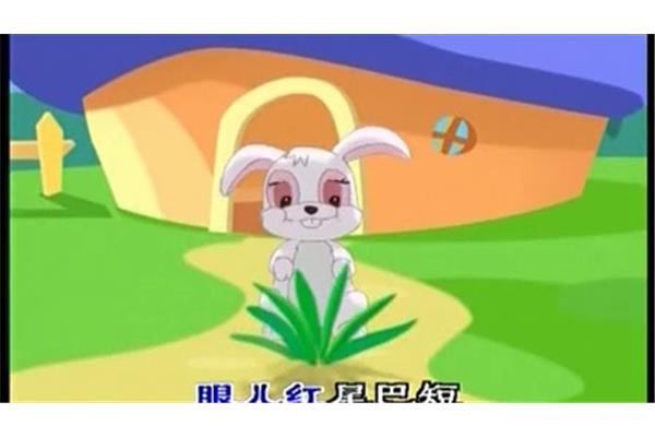 小白兔进化论