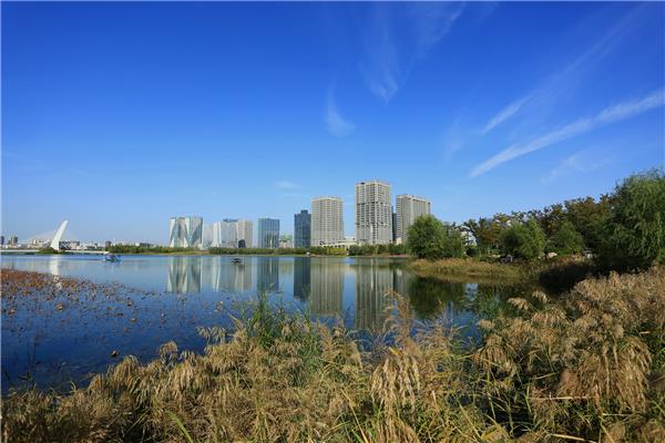 郑州龙子湖