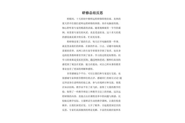 研修总结与反思
