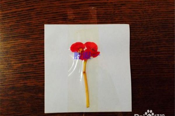 怎样做书签