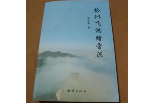 恰似飞鸿踏雪泥