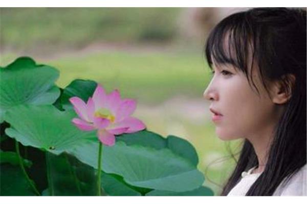 李子柒作文素材