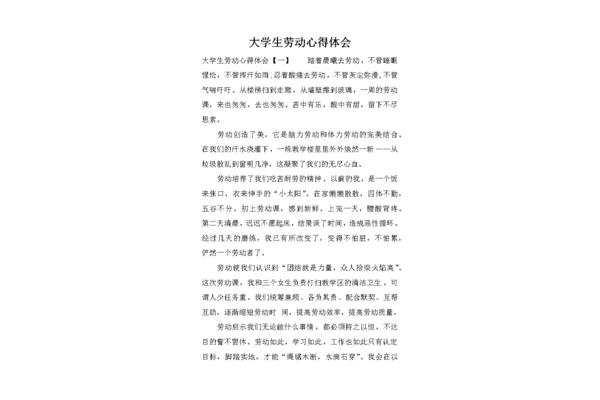 大学生心得体会