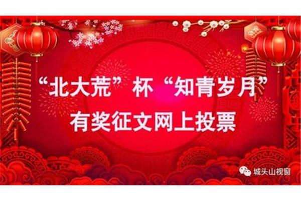 有奖征文网