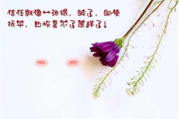 信任的句子经典