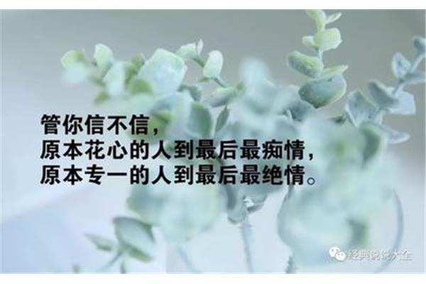 信任的句子经典