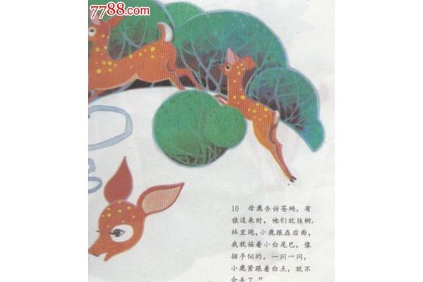 小白拥有几条尾巴