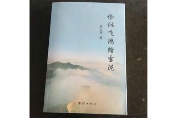 恰似飞鸿踏雪泥