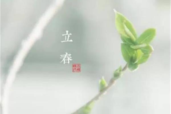 几月几日立春