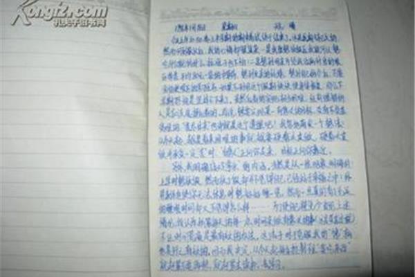 高中生周记