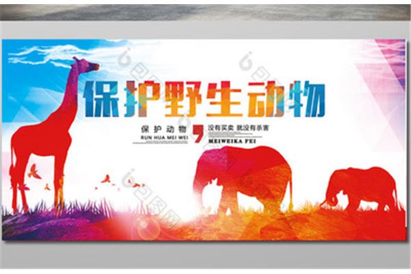 保护动物标语
