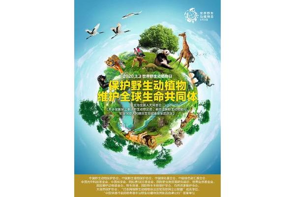 保护动物标语