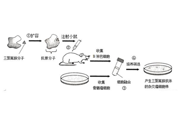 动物反应器