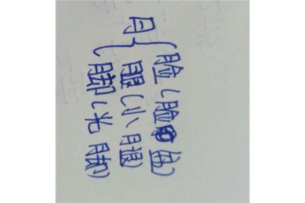 月字加偏旁组新字