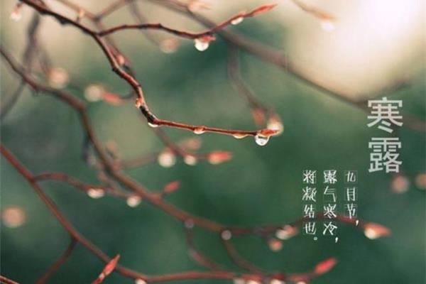描写雨的诗句古诗