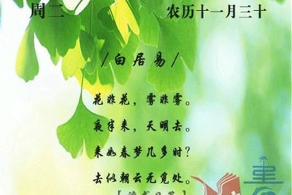 花非花古诗