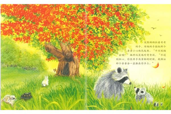 温暖的故事