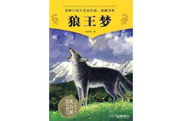 沈石溪的书有哪些