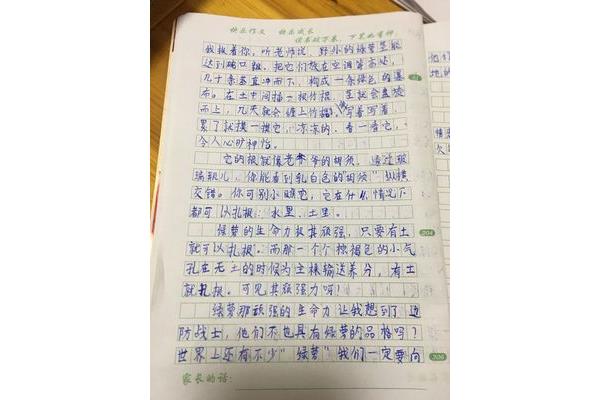 以快乐为题的作文