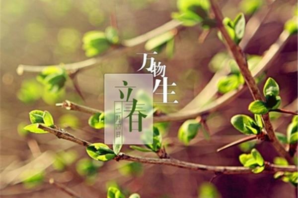 几月几日立春