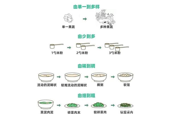 添加辅食的原则