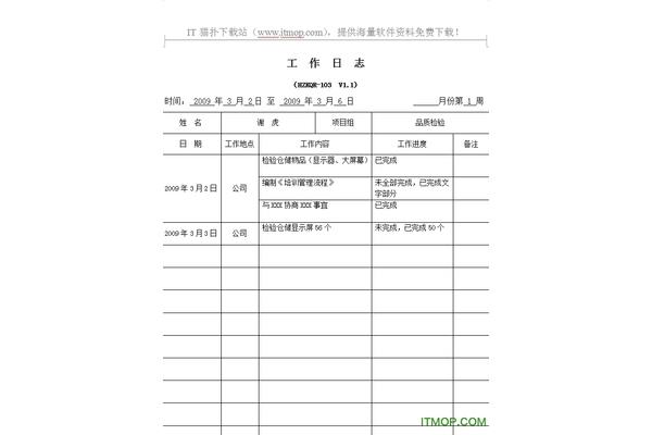 工作日志格式