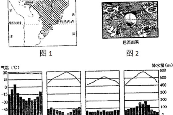 热带经济作物