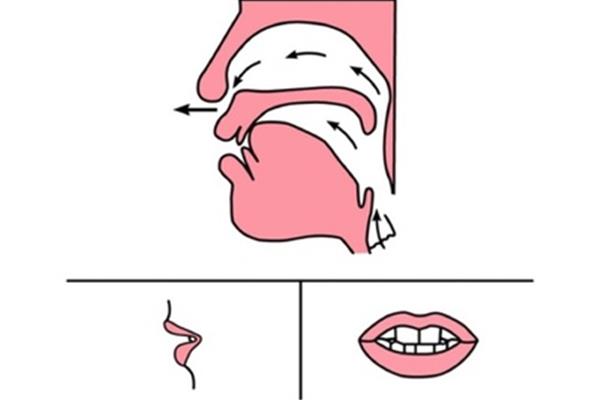 n的正确发音