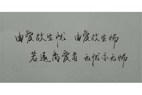 由爱故生忧