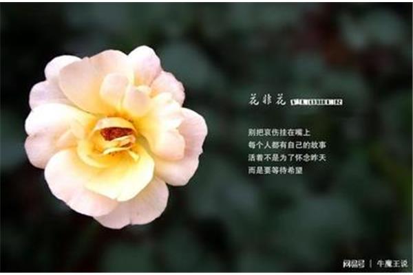 花非花古诗