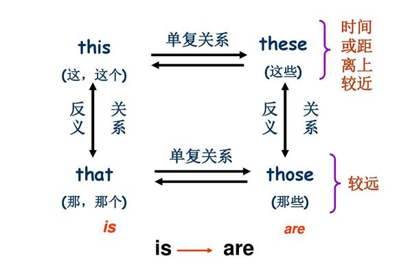 that用法