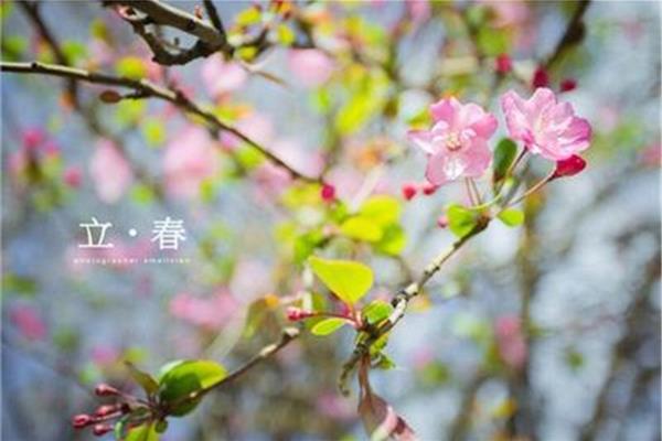 几月几日立春