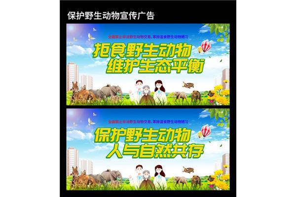 保护动物标语