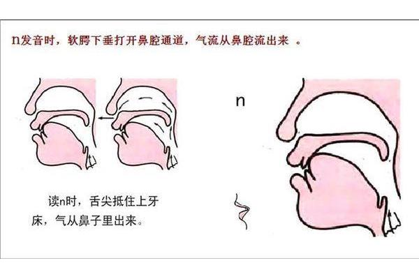 n的正确发音
