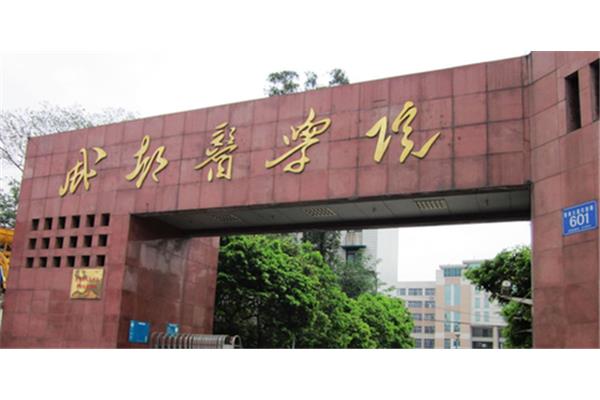成都工学院