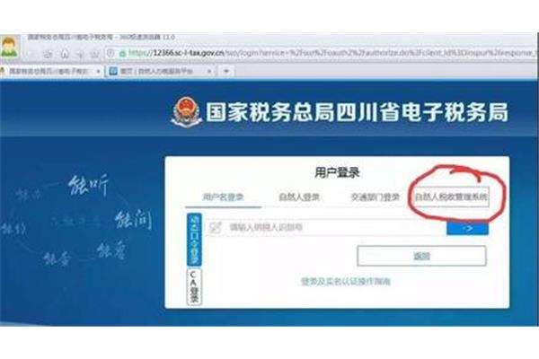 四川省电子税务