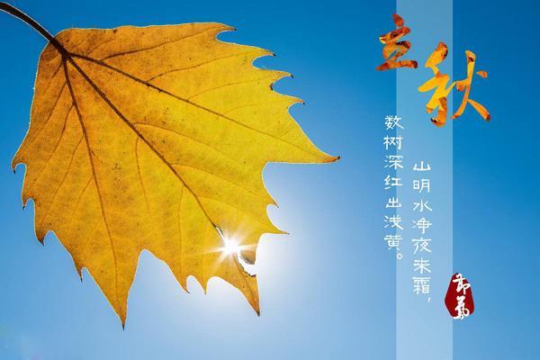 秋天丰收的成语