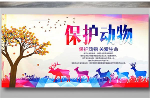 保护动物标语