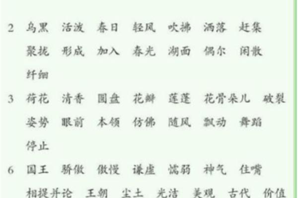 种类多的四字词语