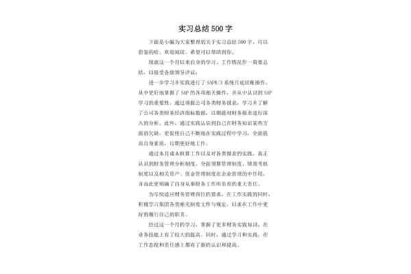 实习总结500